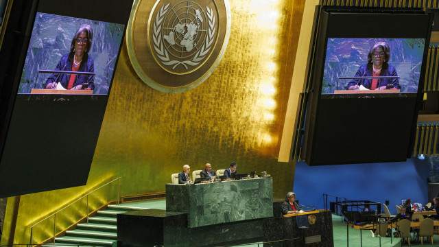 UN Assembly